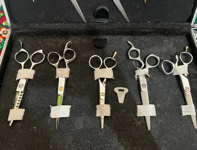 Tesoura para cabeleireiro profissional (12 unidades)