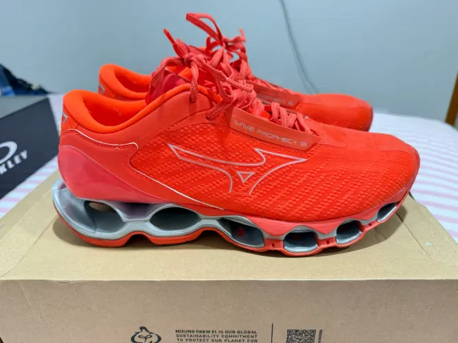Mizuno prophecy 12