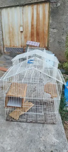 Gaiolas para chinchilas