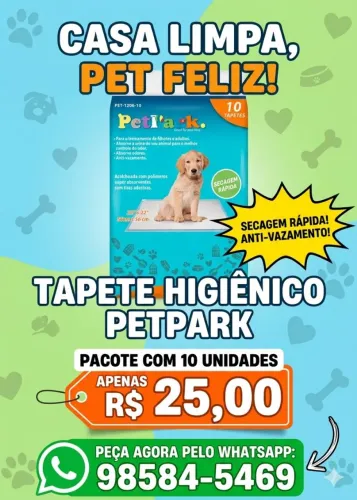 Tapete higiênico descartável com 10 unidades