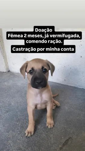 Doação 