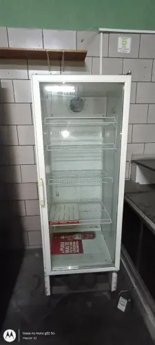 Freezer Vertical 110V
