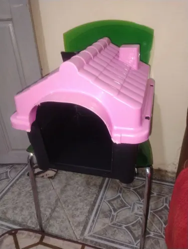 Casa de cachorro 