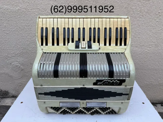Acordeon sanfona gaita italiana 120 baixos em 2/4 de voz reduzida