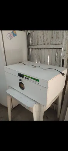 Chocadeiras 100 ovos