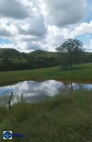 Fazenda à Venda em Ivolândia-GO | 52 Alqueires | Ideal para Pecuária