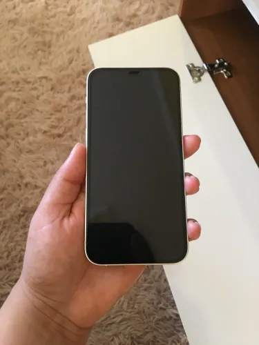 iPhone 12
