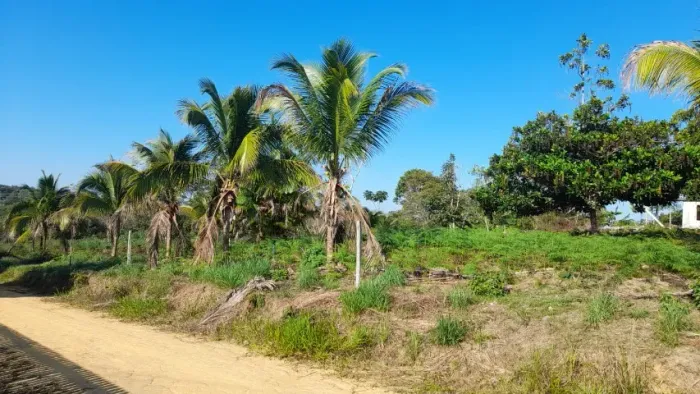 TERRENO - Ao lado da Universidade