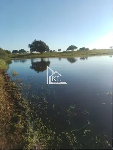 Oportunidade Rural: Fazenda de 73 Hectares em Lagoa de Pedras RN