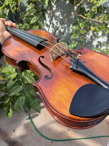 Violino Rolim Mod-Master