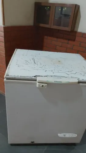 Freezer horizontal