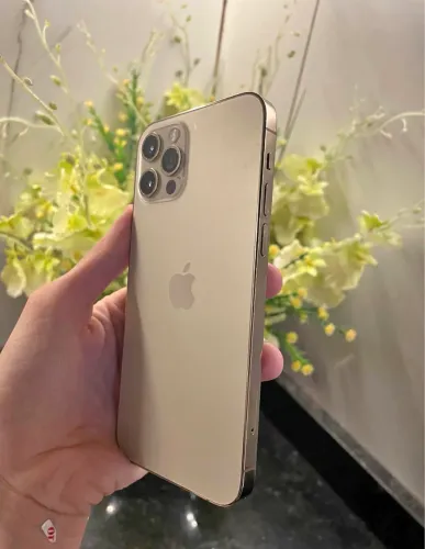iphone 12 Pro 128GB Dourado Impecável 