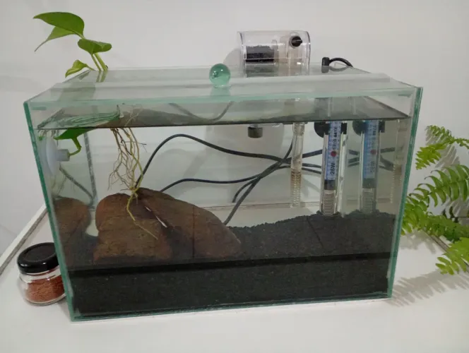 Aquário 10 L