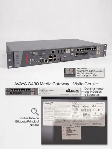 Avaya G430 Media Gateway + Servidor S8300 + Placas MM710 (E1) e MM711