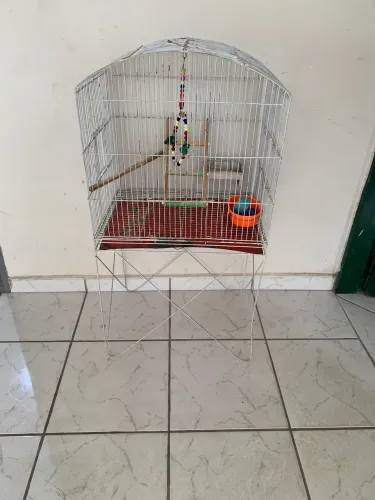 Gaiola para calopsita