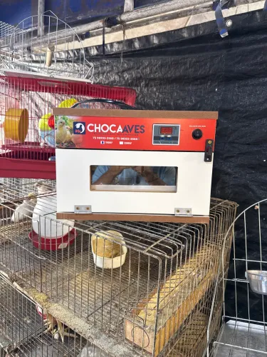 Chocadeira nova zero bala 50 ovos