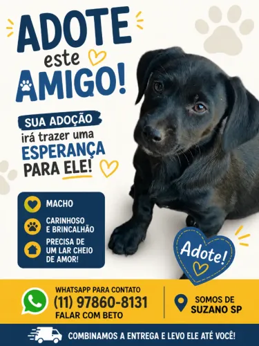 Doa se filhote de cachorro macho Suzano