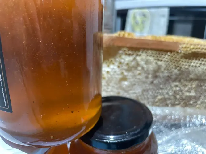 MEL Silvestre puro direto do Rio Grande do Sul