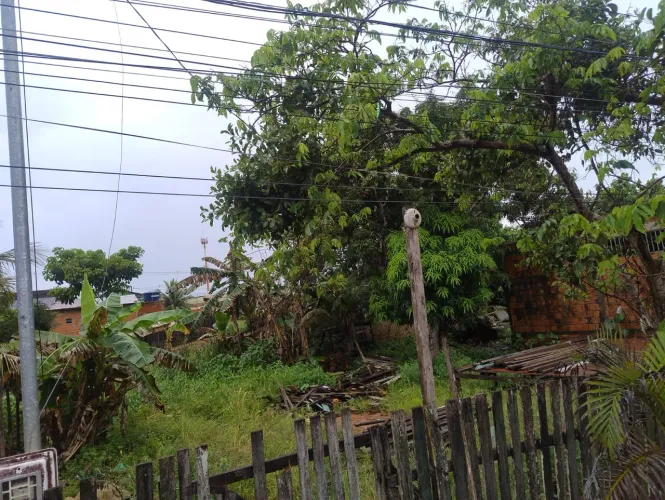 Terreno