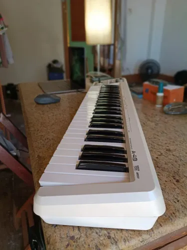 Roland A-49