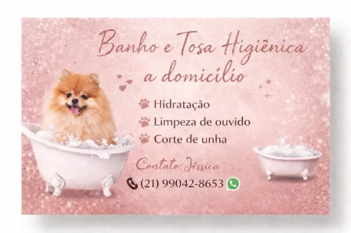 Banho e tosa a domicílio 