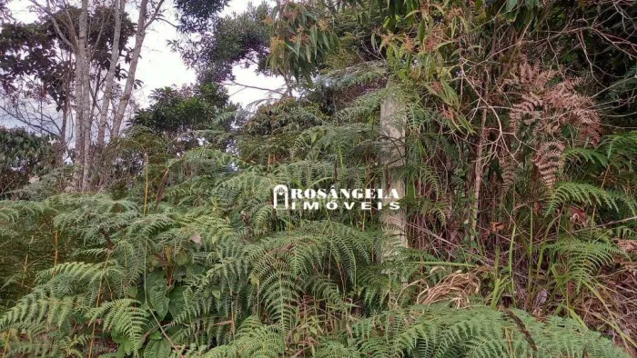 Terreno à venda, 3 m² por R$ 250.000,00 - Cascata do Imbuí - Teresópolis/RJ