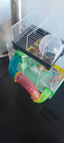 Gaiolas para hamisters