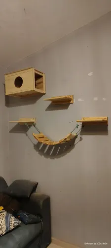Kit para gatos.