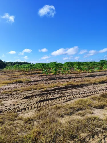 Excelente Área com 62 hectares em são José de Mipibu