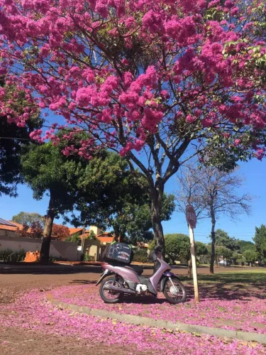 Biz 125 ES, partida elétrica.