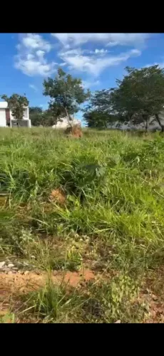 Lote Pampulha Tênis 