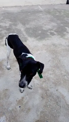 DOAÇÃO RESPONSÁVEL. LUPY PERDIGUEIRO