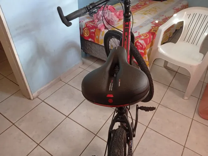 Esporte