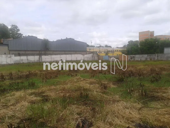 Venda Lote-Área-Terreno São Francisco Belo Horizonte