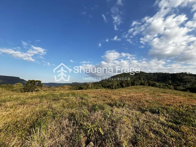 Rancho Queimado/SC - Terreno à Venda - Mato Francês, 3,6 hectares.