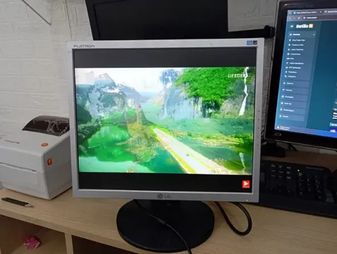 Monitor LG 17 Polegadas L1752S Usado - 100% Testado e Funcionando