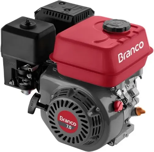 Motor à Gasolina 4T 208CC 7,0CV com Partida Manual - Branco