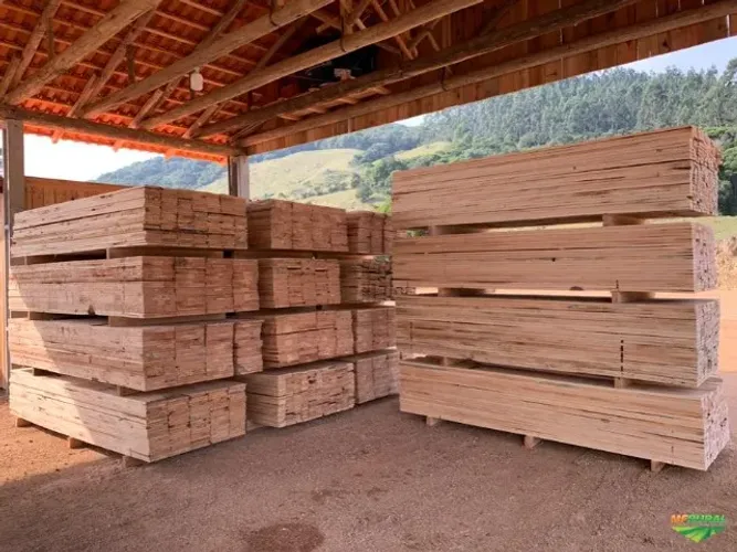 Tabuas de Pinus e Pontaletes de Pinus para Construção