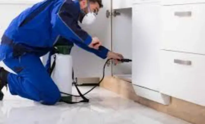 Controlador de pragas 