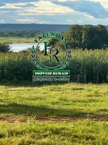 Fazenda Piauí Redenção do Gurguéia, Piauí (5.600 Hectares)