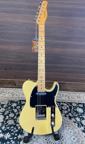 guitarra tw55 1 mês de uso 