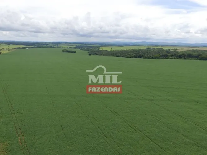 Fazenda Sudoeste Goiano. (88 Alqueires). Montividiu-GO. (Irrigação e Sequeiro)