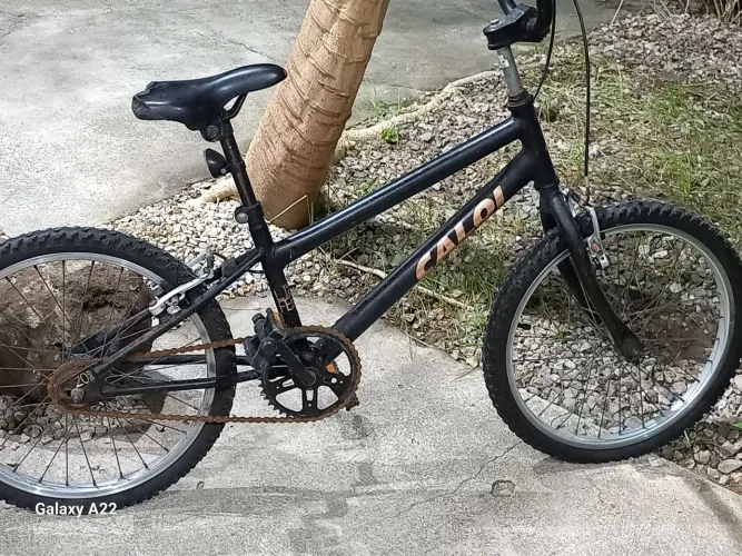 Bicicleta calor aro 20negocio