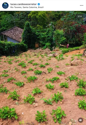 Terreno no Rio Tavares próx ao Multi, novo Campeche