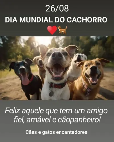 Creche Pet