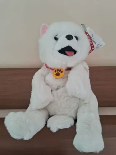 Cão mochila eletrônicos da Br machine