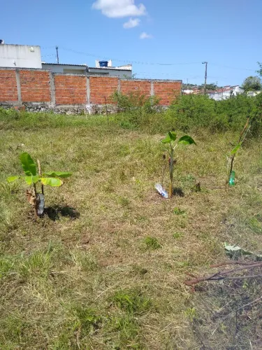 Terreno guajara vendo ou troco em moto ou carro 