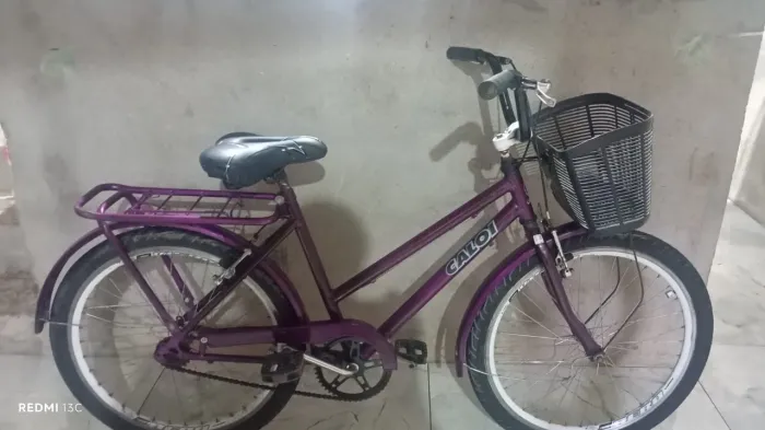 Bicicleta Poti infantil aro 24