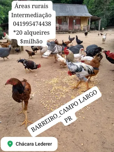 Formação de chácaras 