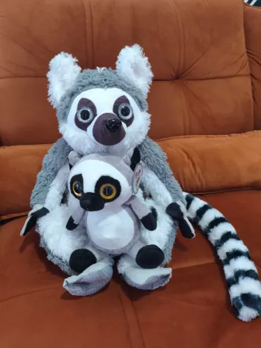 Lêmure de Madagascar "Rei Julien"